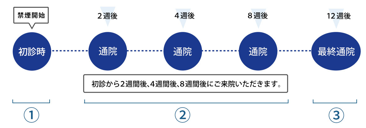 禁煙治療スケジュールPC用