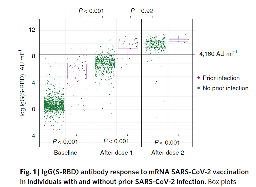 図12：過去のSARS-CoV-2 感染有無に関わらず、mRNA SARS-CoV-2 ワクチン接種に対する IgG(S-RBD) 抗体反応の分布