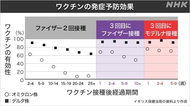 新型コロナウイルス系統図