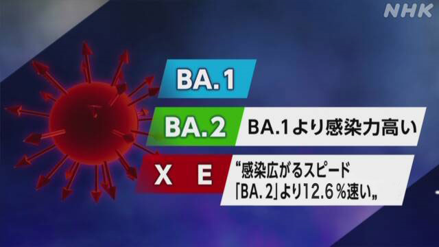 「XE」感染広がるスピード 